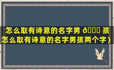 怎么取有诗意的名字男 🍀 孩（怎么取有诗意的名字男孩两个字）